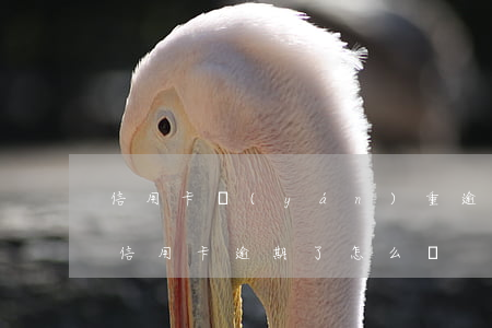 信用卡嚴(yán)重逾期能出國嗎(國外的信用卡逾期了怎么辦)