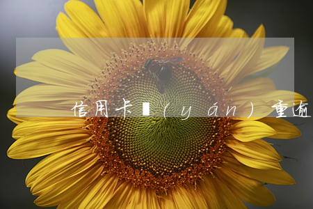信用卡嚴(yán)重逾期能只還本金嗎