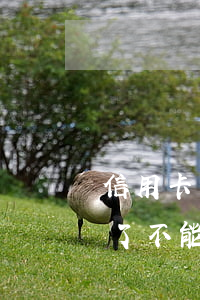 信用卡嚴(yán)重逾期能坐火車嗎(逾期了不能坐火車嗎)