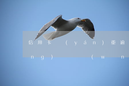 信用卡嚴(yán)重逾期能辦理網(wǎng)貸嗎(網(wǎng)貸有逾期的可以辦信用卡嗎)