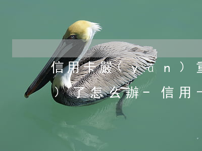 信用卡嚴(yán)重逾期被凍結(jié)了怎么辦-信用卡嚴(yán)重逾期被凍結(jié)了怎么辦呢