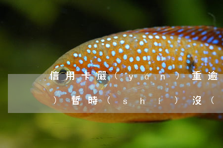 信用卡嚴(yán)重逾期被凍結(jié)暫時(shí)沒(méi)錢還怎么處理-信用卡嚴(yán)重逾期被凍結(jié)暫時(shí)沒(méi)錢還怎么處理呢