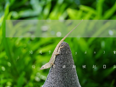 信用卡嚴(yán)重逾期被起訴了怎么辦(信用卡逾期被起訴后果嚴(yán)重嗎)
