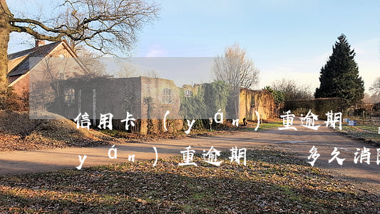信用卡嚴(yán)重逾期記錄(信用卡嚴(yán)重逾期記錄多久消除)