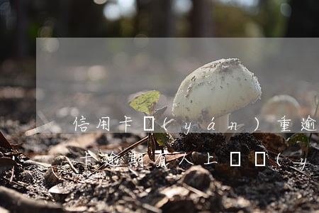 信用卡嚴(yán)重逾期警察上門了(信用卡逾期有人上門嚴(yán)重嗎?該怎么辦?)