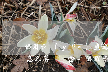 信用卡嚴(yán)重逾期費(fèi)用怎么算滯納金-信用卡嚴(yán)重逾期費(fèi)用怎么算滯納金多少