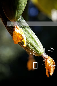 信用卡嚴(yán)重逾期起訴還能找工作嗎-一直有工作但是信用卡逾期一年一直沒(méi)還錢