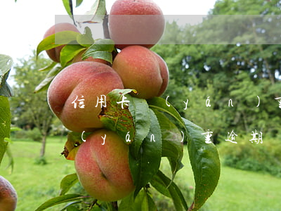 信用卡嚴(yán)重逾期還完了(信用卡嚴(yán)重逾期還完了多久可以申請信用卡)