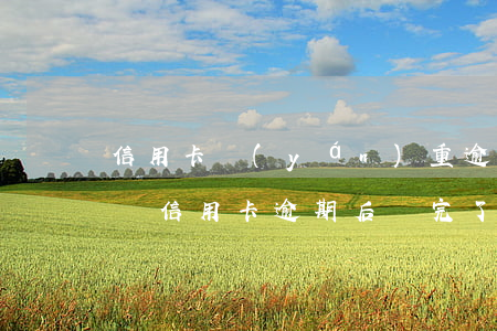 信用卡嚴(yán)重逾期還完以后還能用嗎(信用卡逾期后還完了還能不能用)