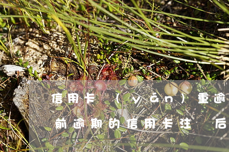 信用卡嚴(yán)重逾期還完會銷戶嗎(以前逾期的信用卡注銷后黑戶了還能申請嗎)