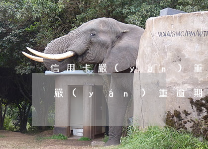 信用卡嚴(yán)重逾期還清以后(信用卡嚴(yán)重逾期還清以后多久可以網(wǎng)貸)