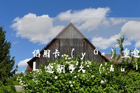 信用卡嚴(yán)重逾期還清后幾年洗白-逾期多久會(huì)被列入失信人名單