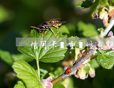 信用卡嚴重惡性逾期(信用卡嚴重惡性逾期)