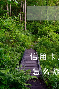 信用卡嚴重逾期11萬后果(欠信用卡11萬怎么辦呢)