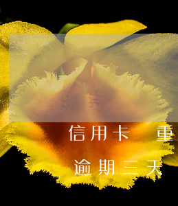 信用卡嚴重逾期3個月怎么辦 每個月信用卡逾期三天