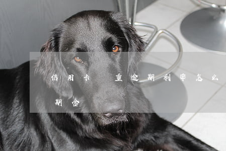 信用卡嚴重逾期利率怎么算(怎么查信用卡逾期金額)