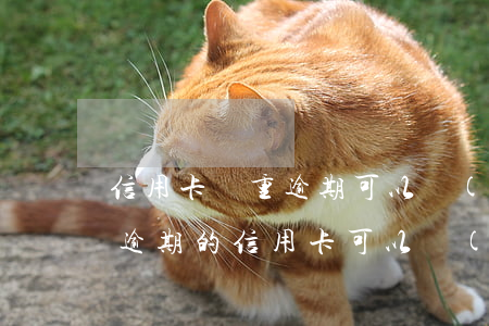 信用卡嚴重逾期可以協(xié)商嗎(沒有逾期的信用卡可以協(xié)商還款嗎)