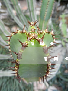 信用卡嚴重逾期可以辦簽證嗎廣發(fā)-信用卡嚴重逾期可以辦簽證嗎廣發(fā)銀行