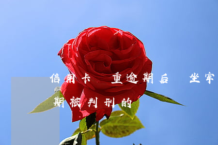 信用卡嚴重逾期后會坐牢嗎(有沒有信用卡逾期被判刑的)