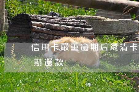 信用卡嚴重逾期后還清卡怎么處理(信用卡 逾期還款)