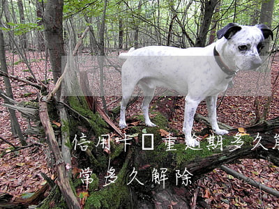 信用卡嚴重逾期多久能恢復(逾期后信用卡異常多久解除)