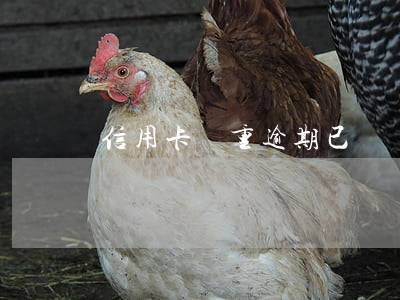 信用卡嚴重逾期已凍結(逾期多久凍結信用卡)
