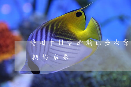 信用卡嚴重逾期已多次警告(10張信用卡逾期的后果)