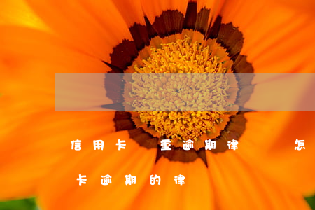 信用卡嚴重逾期律師會怎樣(有沒有處理信用卡逾期的律師)