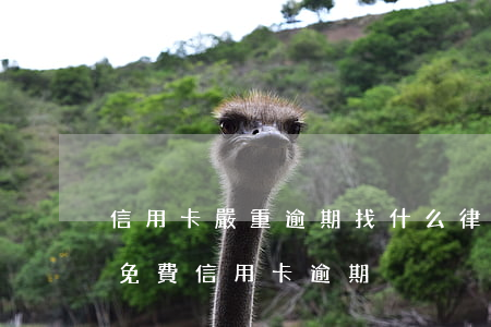 信用卡嚴重逾期找什么律師(律師事務所咨詢免費信用卡逾期)