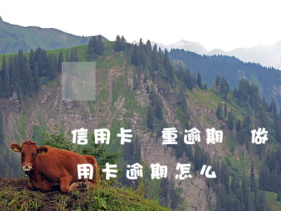 信用卡嚴重逾期擬做報案處理(因刑事案件信用卡逾期怎么辦)