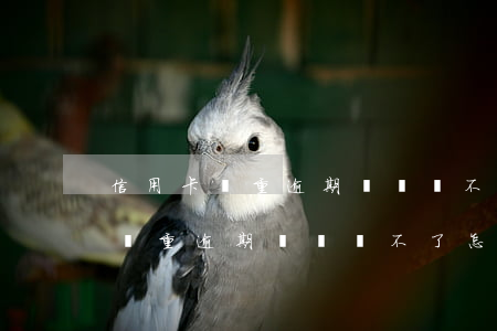 信用卡嚴重逾期暫時還不了怎么辦-信用卡嚴重逾期暫時還不了怎么辦
