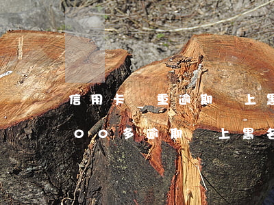 信用卡嚴重逾期會上黑名單嗎-信用卡1000多逾期會上黑名單嗎