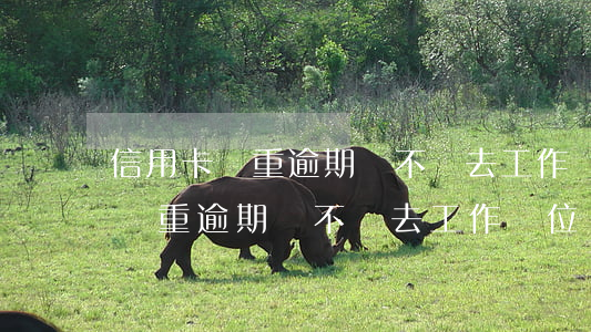 信用卡嚴重逾期會不會去工作單位-信用卡嚴重逾期會不會去工作單位報到