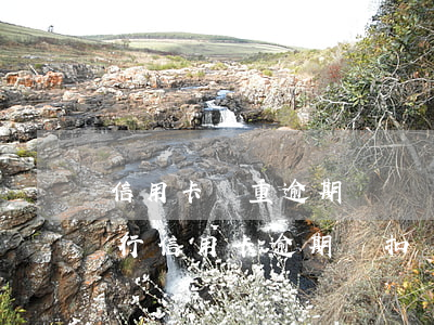 信用卡嚴重逾期會從儲蓄卡扣錢么(同一個銀行信用卡逾期會扣儲蓄卡的錢嗎)