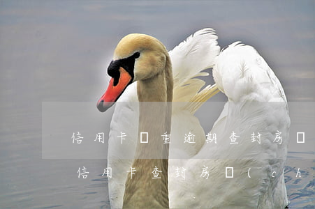 信用卡嚴重逾期查封房產(chǎn)嗎(欠信用卡查封房產(chǎn))