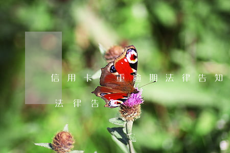 信用卡嚴重逾期法律告知書(信用卡嚴重逾期法律告知書)