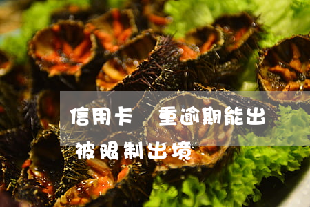 信用卡嚴重逾期能出國嗎(信用卡逾期多久會被限制出境)