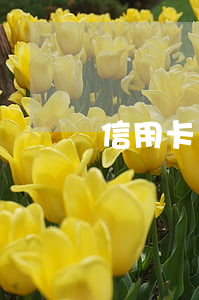 信用卡嚴重逾期能過海關嗎(有信用卡逾期的嗎?)