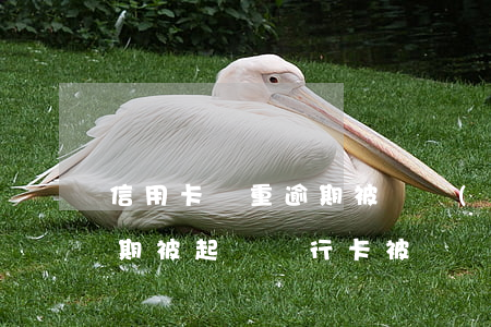 信用卡嚴重逾期被凍結(jié)被起訴(逾期被起訴銀行卡被凍結(jié))