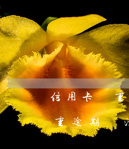 信用卡嚴重逾期還有可能恢復(fù)嗎 嚴重逾期還清后申請信用卡