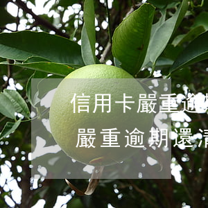 信用卡嚴重逾期還清額度還在上海-信用卡嚴重逾期還清額度還在上海怎么辦
