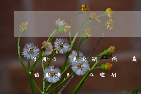 信用卡嚴重逾期還清額度還在花旗(花旗銀行信用卡8萬已逾期)