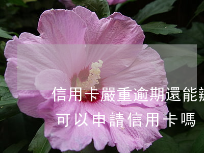 信用卡嚴重逾期還能辦什么貸款(貸款有逾期可以申請信用卡嗎)