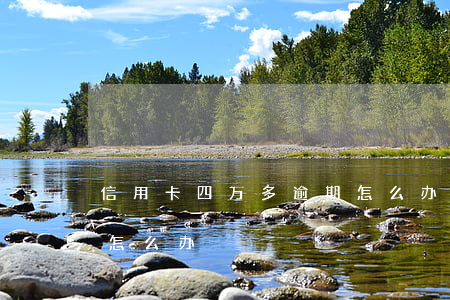 信用卡四万多逾期怎么办(信用卡四万多逾期怎么办)