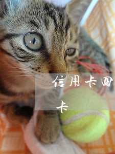 信用卡四个月不还还能用吗(两个月不还信用卡)