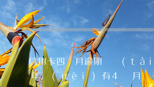 信用卡四個月逾期狀態(tài) 信用卡5年內(nèi)有4個月處于逾期
