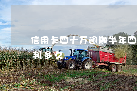 信用卡四十万逾期半年(四十万信用卡逾期被判多久?)