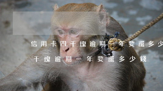 信用卡四千塊逾期一年要還多少錢(信用卡四千塊逾期一年要還多少錢)