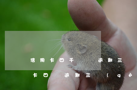 信用卡四千塊錢逾期三個(gè)月(欠信用卡四萬逾期三個(gè)月會(huì)怎么樣)