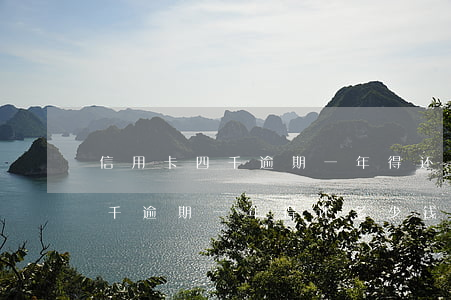 信用卡四千逾期一年得还多少钱-信用卡四千逾期一年得还多少钱呢